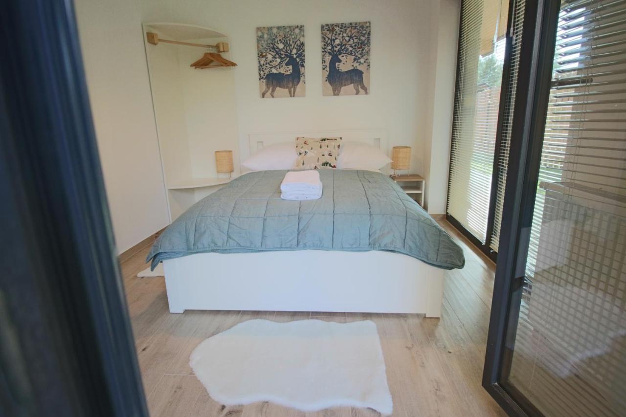 Apartment Bazatatry Kozica 扎科帕内 外观 照片